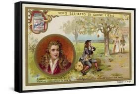 Isaac Newton, English Physicist and Mathematician-null-Framed Stretched Canvas