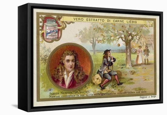 Isaac Newton, English Physicist and Mathematician-null-Framed Stretched Canvas