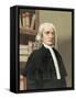 Isaac Newton-null-Framed Stretched Canvas