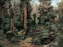 In the Sassafras Valley, Victoria, 1875-Isaac Whitehead-Framed Giclee Print