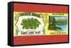 Isaacs Brand Early June Peas-null-Framed Stretched Canvas