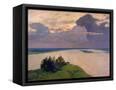 Canvas Black