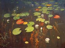 At the Shallow, 1892-Isaak Ilyich Levitan-Giclee Print