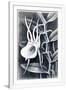 Gramercy White