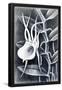 Essential Black