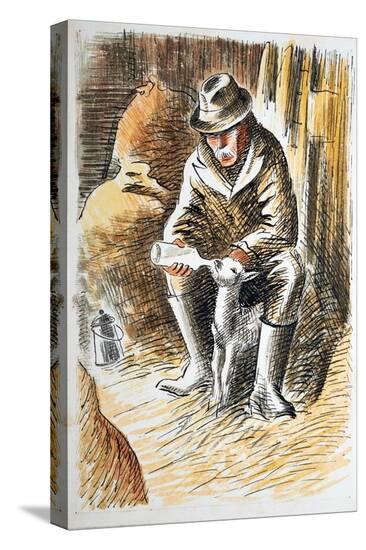 Stretched Canvas Print, , large