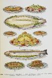 Assorted Fish Dishes Including Salmon, Trout, Cod and Scallops-Isabella Beeton-Giclee Print