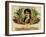 Isabella Cigar (2)-null-Framed Giclee Print