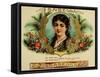 Isabella Cigar (2)-null-Framed Stretched Canvas