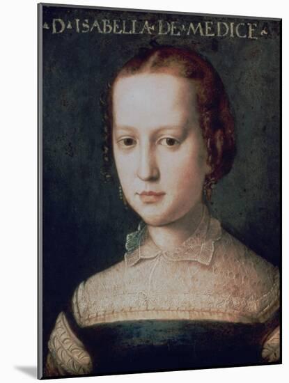 Isabella De Medici, 16th Century-Agnolo Bronzino-Mounted Giclee Print