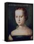 Isabella De Medici, 16th Century-Agnolo Bronzino-Framed Stretched Canvas