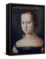 Isabella De Medici, 16th Century-Agnolo Bronzino-Framed Stretched Canvas