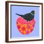 Brown Frame