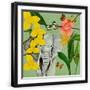 Black Frame