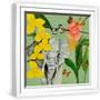 White Frame