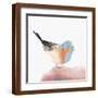 Brown Frame
