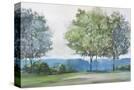Stretched Canvas