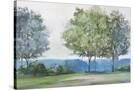 Stretched Canvas