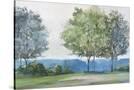 Stretched Canvas