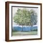 Brown Frame
