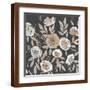 Brown Frame
