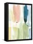 Framed Canvas