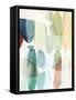 Framed Canvas