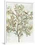 Gramercy White