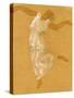 Isadora Duncan, Early 20th Century-Auguste Rodin-Stretched Canvas