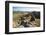 Isalo National Park, Ihorombe Region, Southwest Madagascar, Africa-Matthew Williams-Ellis-Framed Photographic Print