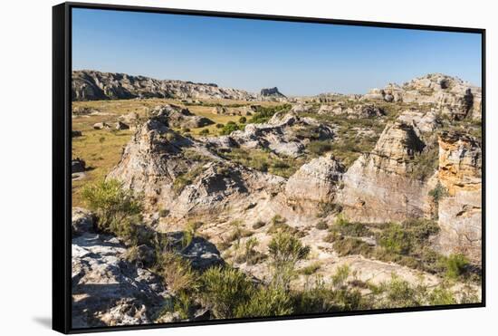 Isalo National Park, Ihorombe Region, Southwest Madagascar, Africa-Matthew Williams-Ellis-Framed Stretched Canvas