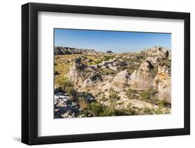 Isalo National Park, Ihorombe Region, Southwest Madagascar, Africa-Matthew Williams-Ellis-Framed Photographic Print