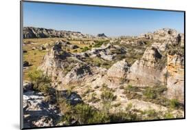 Isalo National Park, Ihorombe Region, Southwest Madagascar, Africa-Matthew Williams-Ellis-Mounted Photographic Print