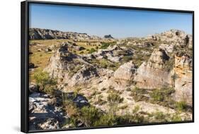 Isalo National Park, Ihorombe Region, Southwest Madagascar, Africa-Matthew Williams-Ellis-Framed Photographic Print