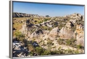 Isalo National Park, Ihorombe Region, Southwest Madagascar, Africa-Matthew Williams-Ellis-Framed Photographic Print