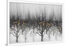 Gramercy White