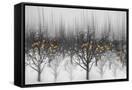 Canvas Black