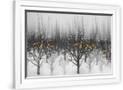 Gramercy White