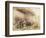 Isambard Kingdom Brunel beside the 'Great Eastern', c1857-Robert Howlett-Framed Photographic Print