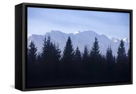 Isar Valley, Wallgau, Bavaria, Germany: A Foggy Morning-Axel Brunst-Framed Stretched Canvas