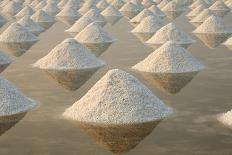 Salt Fields at Phetchaburi, Thailand-isarescheewin-Photographic Print