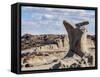 Ischigualasto Provincial Park, UNESCO World Heritage Site, San Juan Province, Argentina, South Amer-Karol Kozlowski-Framed Stretched Canvas