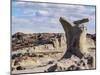 Ischigualasto Provincial Park, UNESCO World Heritage Site, San Juan Province, Argentina, South Amer-Karol Kozlowski-Mounted Photographic Print