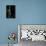 Ischnura Elegans (Blue-Tailed Damselfly)-Paul Starosta-Framed Stretched Canvas displayed on a wall