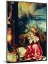 Isenheim Altar, Allegory of the Nativity-Matthias Gruenewald-Mounted Giclee Print