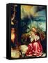 Isenheim Altar, Allegory of the Nativity-Matthias Gruenewald-Framed Stretched Canvas