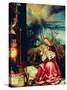 Isenheim Altar, Allegory of the Nativity-Matthias Gruenewald-Stretched Canvas