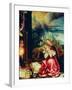 Isenheim Altar, Allegory of the Nativity-Matthias Gruenewald-Framed Giclee Print