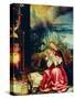 Isenheim Altar, Allegory of the Nativity-Matthias Gruenewald-Stretched Canvas