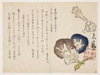 Morning Glories, C.1830-?ishi Matora-Stretched Canvas